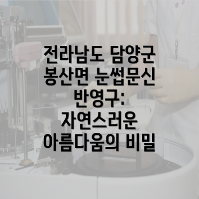 전라남도 담양군 봉산면 눈썹문신 반영구: 자연스러운 아름다움의 비밀