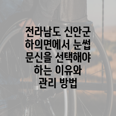 전라남도 신안군 하의면에서 눈썹 문신을 선택해야 하는 이유와 관리 방법