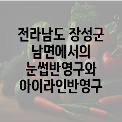 전라남도 장성군 남면에서의 눈썹반영구와 아이라인반영구