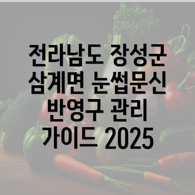 전라남도 장성군 삼계면 눈썹문신 반영구 관리 가이드 2025