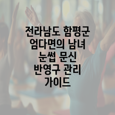 전라남도 함평군 엄다면의 남녀 눈썹 문신 반영구 관리 가이드