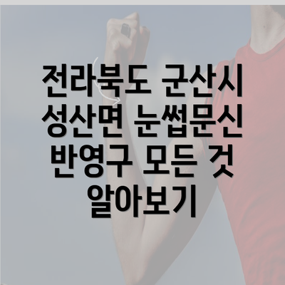 전라북도 군산시 성산면 눈썹문신 반영구 모든 것 알아보기