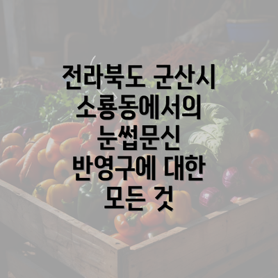 전라북도 군산시 소룡동에서의 눈썹문신 반영구에 대한 모든 것