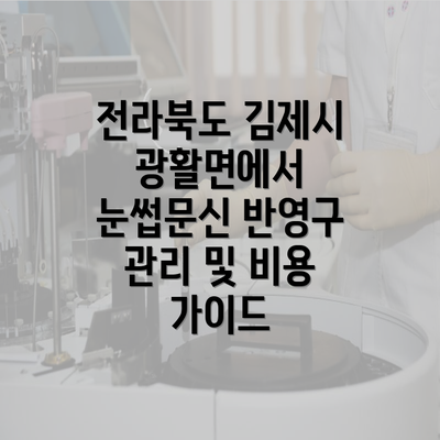 전라북도 김제시 광활면에서 눈썹문신 반영구 관리 및 비용 가이드