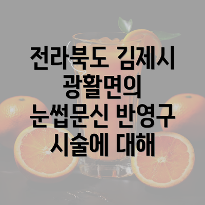 전라북도 김제시 광활면의 눈썹문신 반영구 시술에 대해