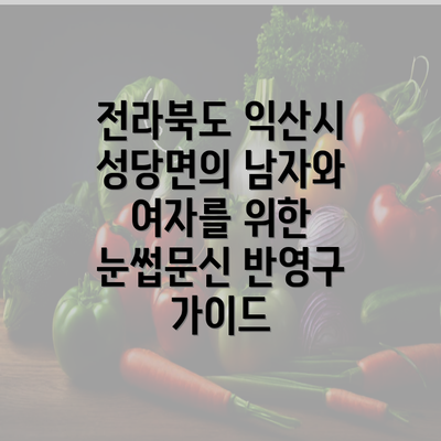 전라북도 익산시 성당면의 남자와 여자를 위한 눈썹문신 반영구 가이드