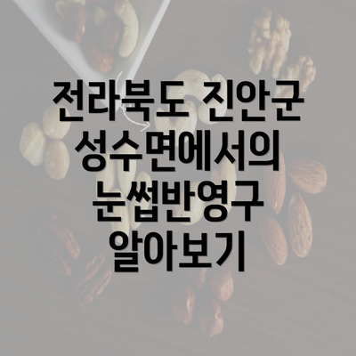 전라북도 진안군 성수면에서의 눈썹반영구 알아보기