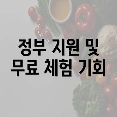 정부 지원 및 무료 체험 기회