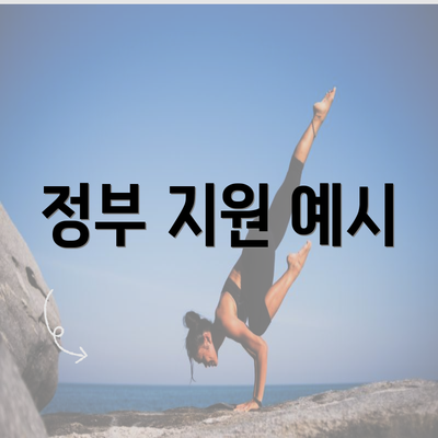 정부 지원 예시
