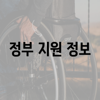 정부 지원 정보