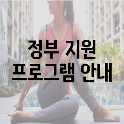 정부 지원 프로그램 안내