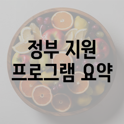 정부 지원 프로그램 요약