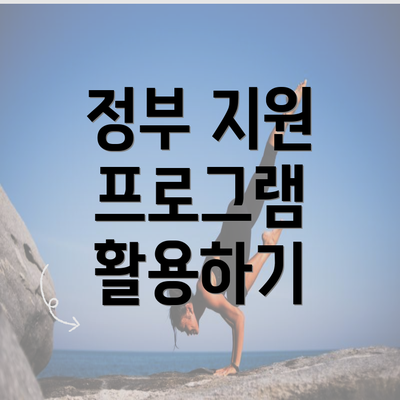 정부 지원 프로그램 활용하기