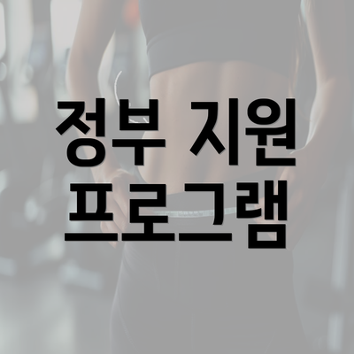 정부 지원 프로그램