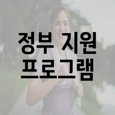 정부 지원 프로그램