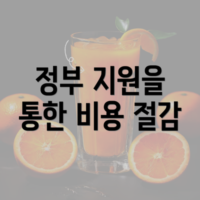 정부 지원을 통한 비용 절감