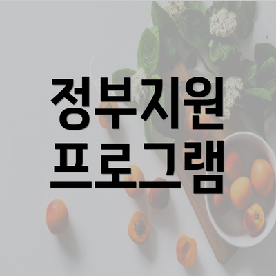 정부지원 프로그램