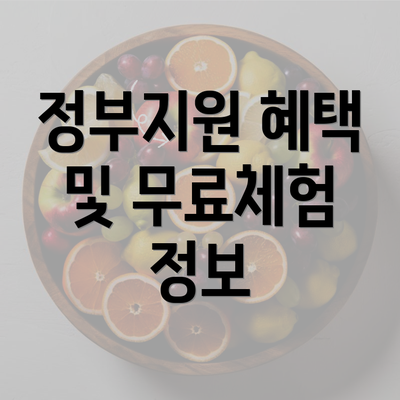 정부지원 혜택 및 무료체험 정보