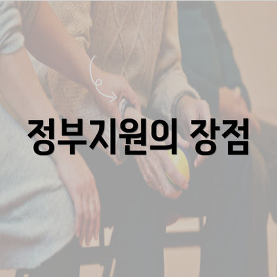 정부지원의 장점