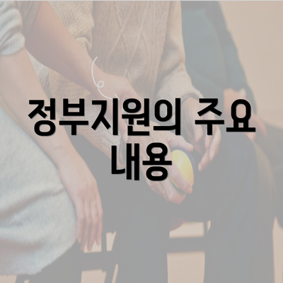 정부지원의 주요 내용