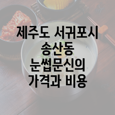 제주도 서귀포시 송산동 눈썹문신의 가격과 비용