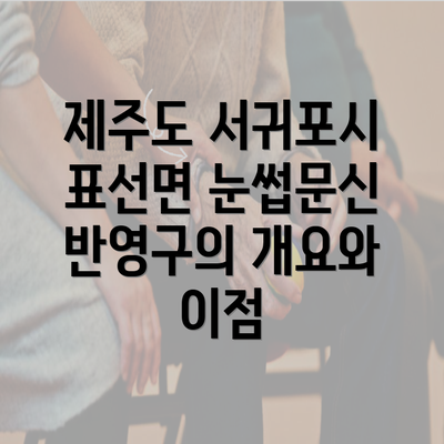 제주도 서귀포시 표선면 눈썹문신 반영구의 개요와 이점