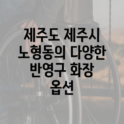 제주도 제주시 노형동의 다양한 반영구 화장 옵션