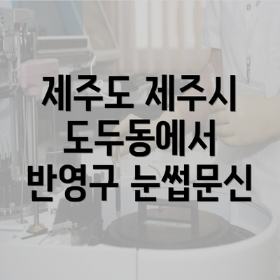 제주도 제주시 도두동에서 반영구 눈썹문신