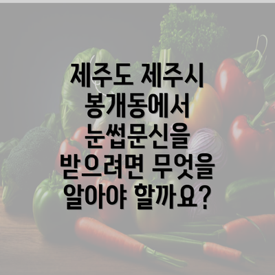 제주도 제주시 봉개동에서 눈썹문신을 받으려면 무엇을 알아야 할까요?