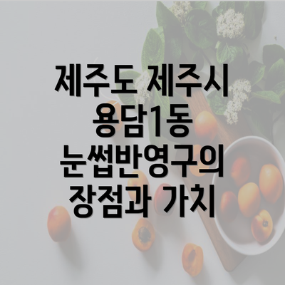 제주도 제주시 용담1동 눈썹반영구의 장점과 가치