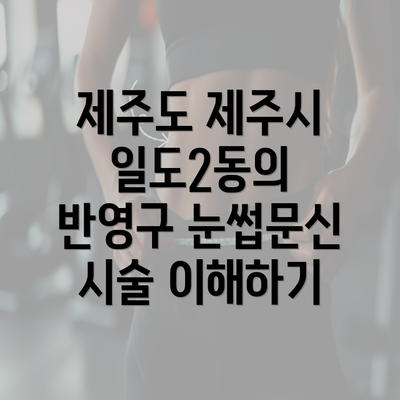 제주도 제주시 일도2동의 반영구 눈썹문신 시술 이해하기