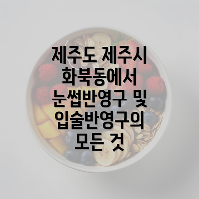 제주도 제주시 화북동에서 눈썹반영구 및 입술반영구의 모든 것