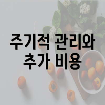 주기적 관리와 추가 비용