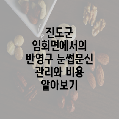 진도군 임회면에서의 반영구 눈썹문신 관리와 비용 알아보기