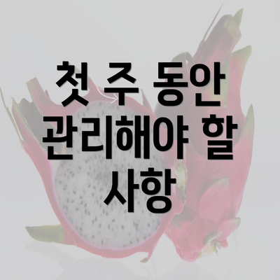 첫 주 동안 관리해야 할 사항