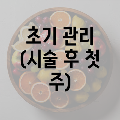 초기 관리 (시술 후 첫 주)