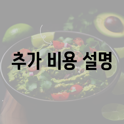 추가 비용 설명