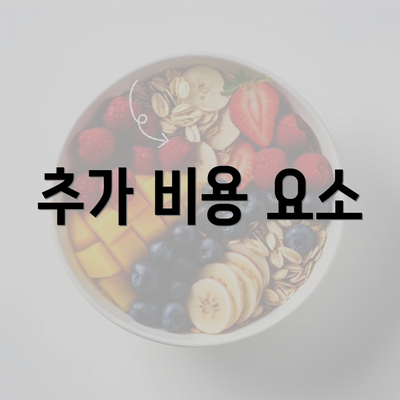 추가 비용 요소