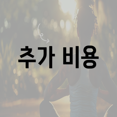 추가 비용