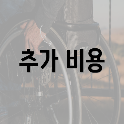 추가 비용