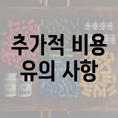 추가적 비용 유의 사항