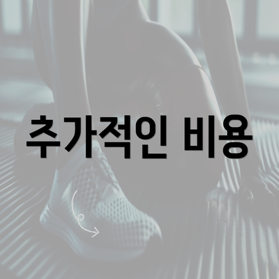 추가적인 비용