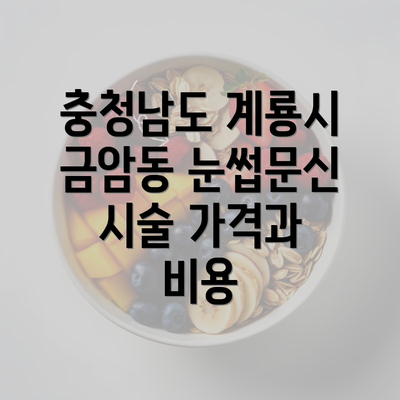 충청남도 계룡시 금암동 눈썹문신 시술 가격과 비용