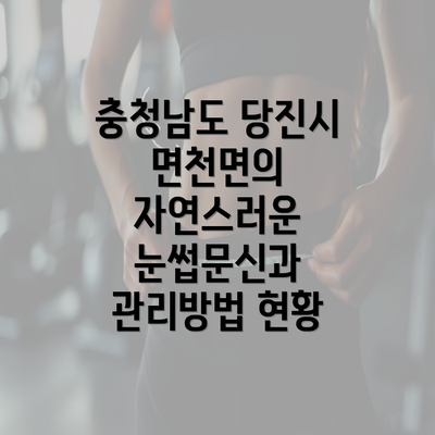 충청남도 당진시 면천면의 자연스러운 눈썹문신과 관리방법 현황