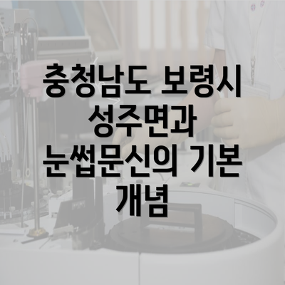 충청남도 보령시 성주면과 눈썹문신의 기본 개념