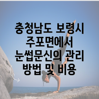 충청남도 보령시 주포면에서 눈썹문신의 관리 방법 및 비용