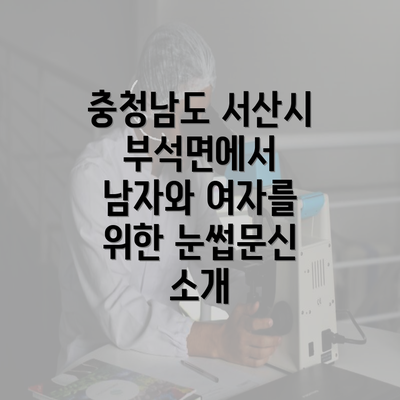 충청남도 서산시 부석면에서 남자와 여자를 위한 눈썹문신 소개