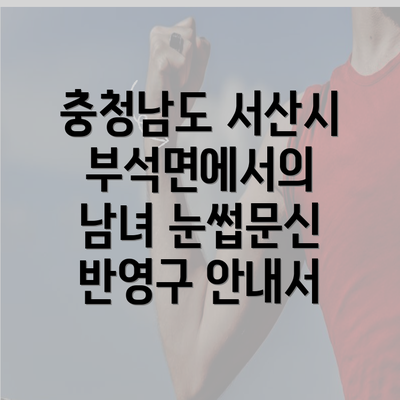 충청남도 서산시 부석면에서의 남녀 눈썹문신 반영구 안내서