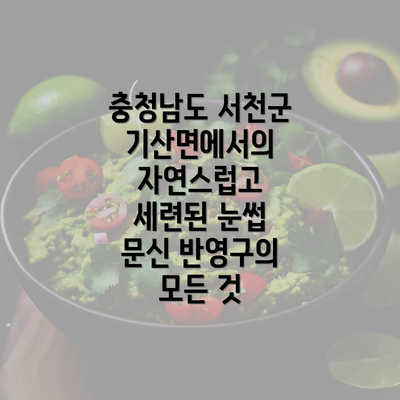 충청남도 서천군 기산면에서의 자연스럽고 세련된 눈썹 문신 반영구의 모든 것