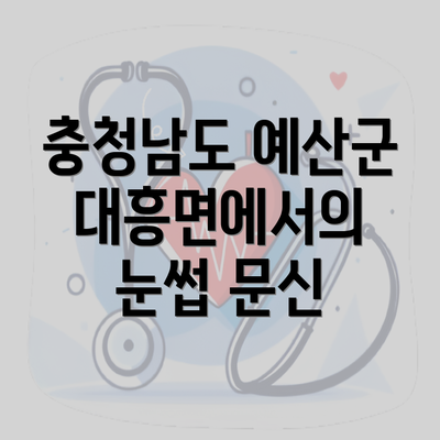 충청남도 예산군 대흥면에서의 눈썹 문신